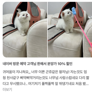 골드포인트먼치킨