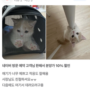 크림바이먼치킨