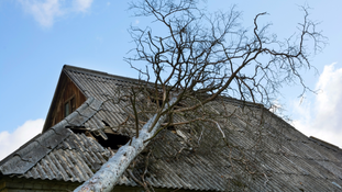 Weathering the Storm: Understanding Roof Damage in South Florida and How to Identify It