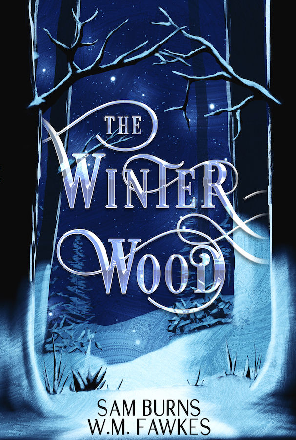 The Winter Wood ebook.jpg