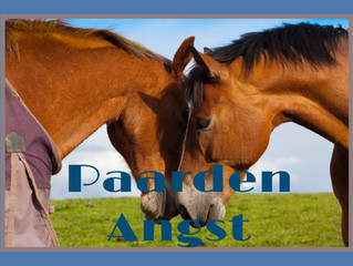 Paardenangst