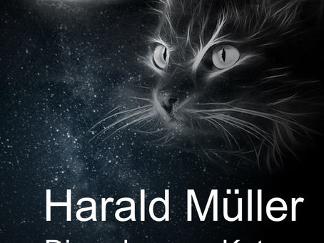 Die schwarze Katze und weitere mysteriöse Kurzgeschichen!