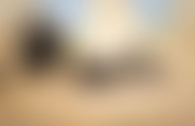 Rencontre AS - Gorges du Toulourenc