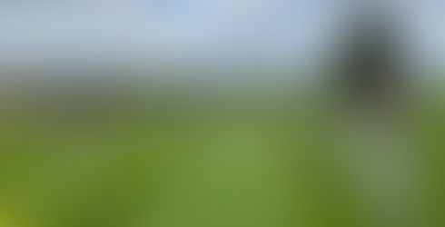 Salem Glen Vineyard in Rochester Minnesota