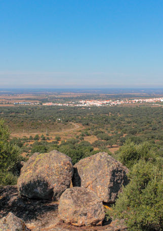 Alter do Chão (13 de 23).jpg