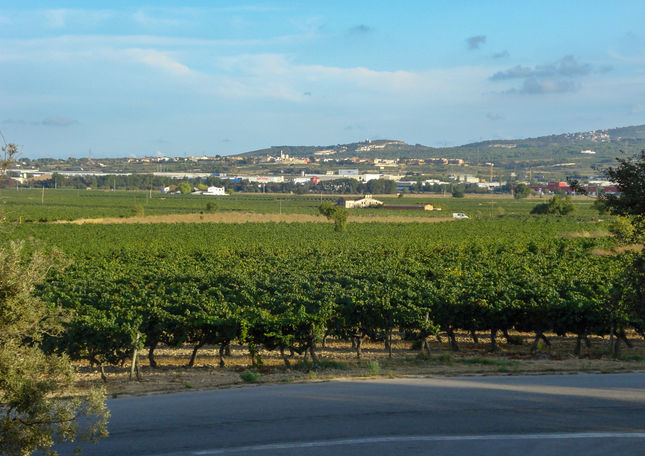 Castelo Milmanda - Vinícola Familia Torres em Pacs del Penedès - Espanha