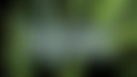 Four Self-Care Reminders For Work-Life Balance