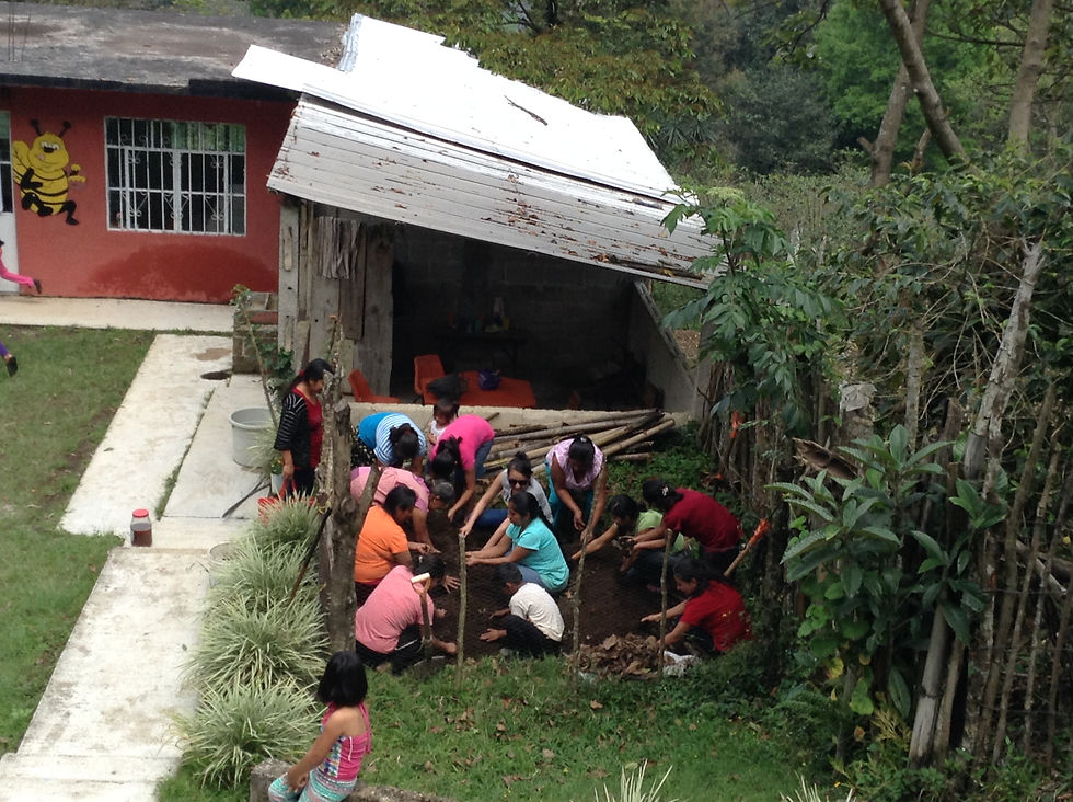 jardinNiños.JPG