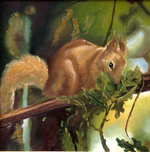 Лариса кучеренко.Краснодарская белка.2010г.х.м 30х30