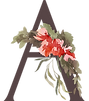 letter_A_Red.png