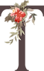 letter_T_Red.png