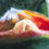 Thumbnail: Bird of Paradise Painting - Opening