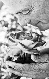Dr. Jacob Liberman Smelling a Rose
