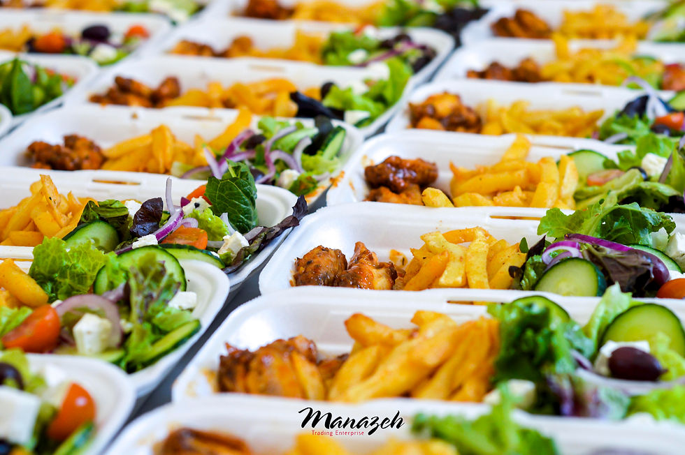 Grilled chicken, chips, and fresh salad for event catering services in Gauteng by Manazeh Catering.
