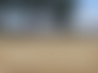 The Hunt for My Unicorn