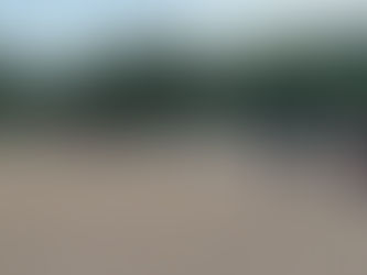 It's a retirement party for AMIGO