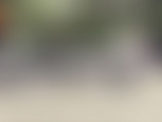 Michael Nyuis Foundation Grant Opportunity November 2023