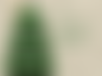 Confucio Usaquén: el lugar donde mi energía cambió ✨🎋