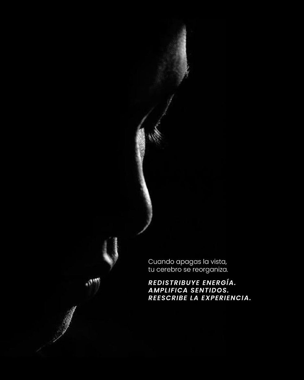 🌑🖤 Sombras: cuando la oscuridad se convierte en experiencia