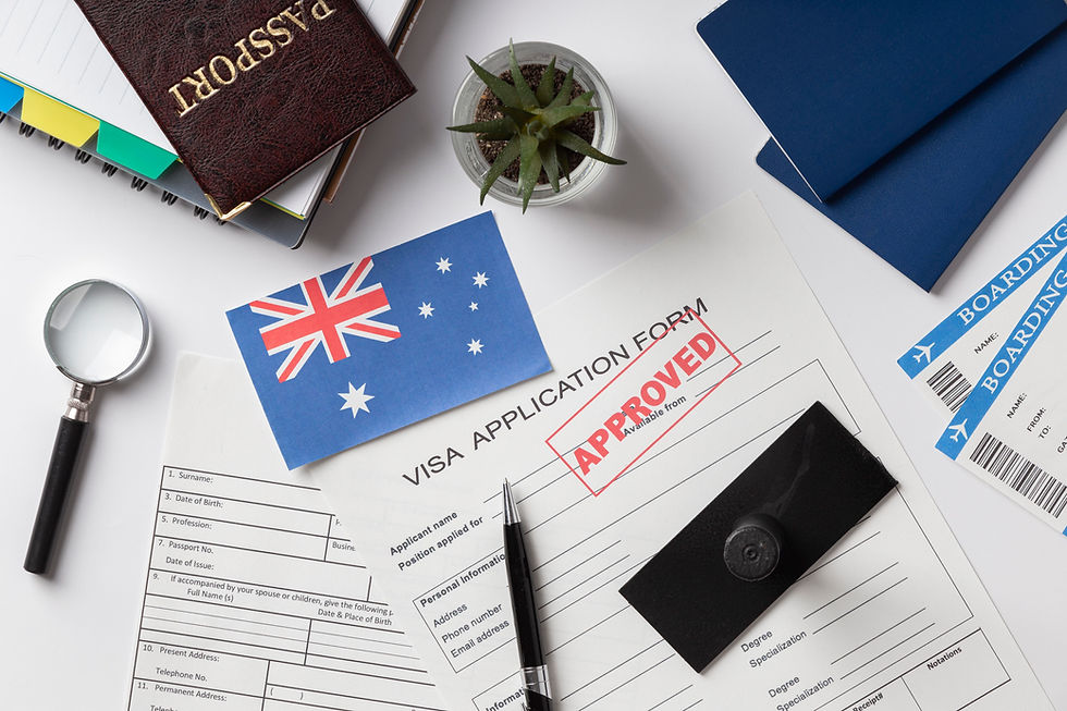 Visa Application