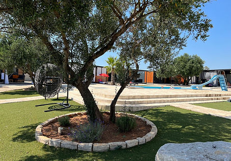 pool view