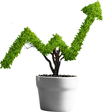 Asset 3demooo25508.png