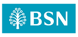 bsn.png