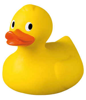 image_edited.png
