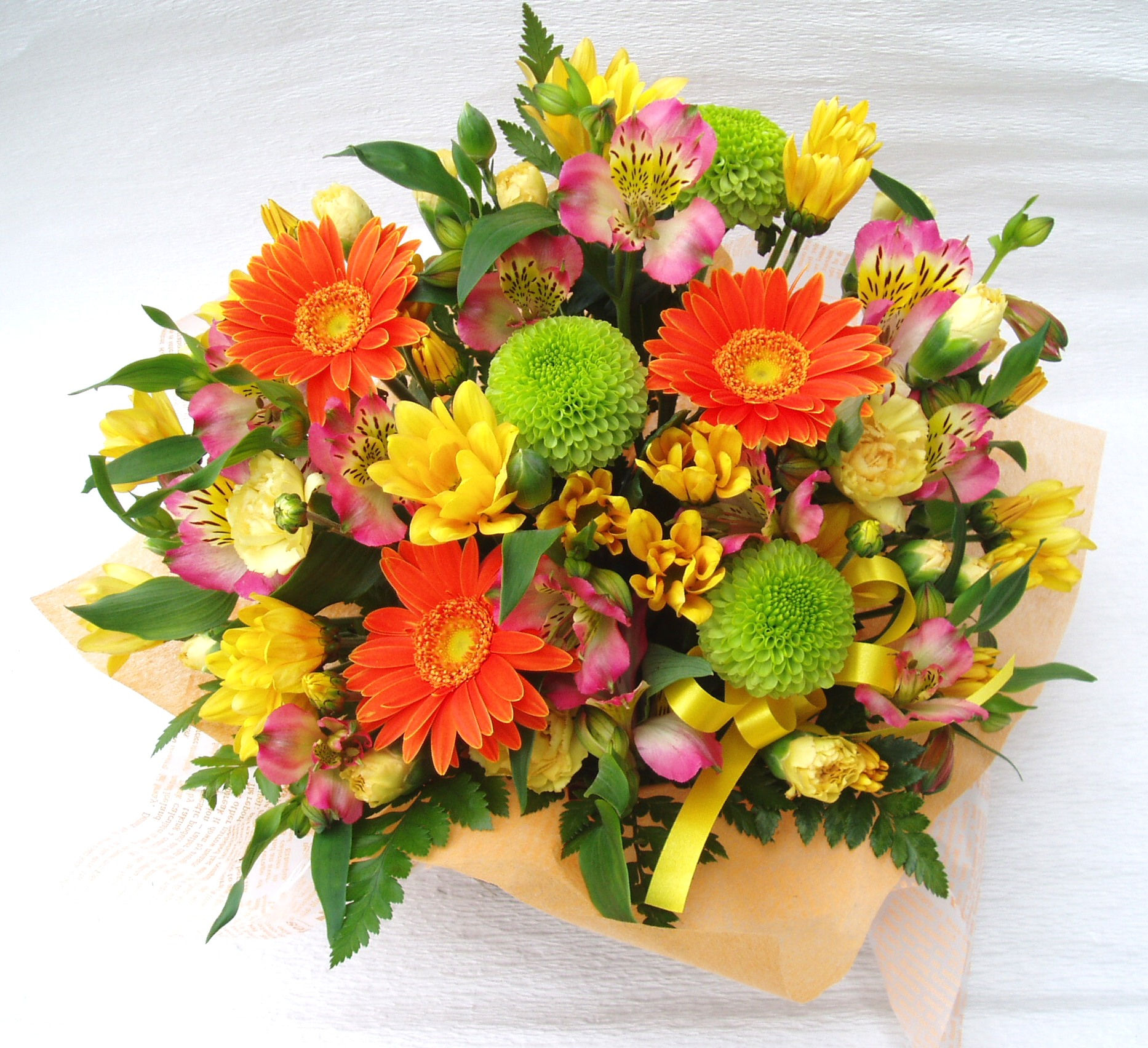 ハッピーポップ