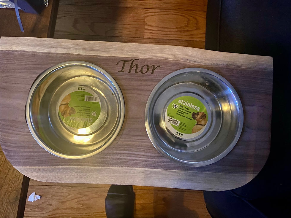 Thumbnail: Custom Engraved Dog Bowl Stand