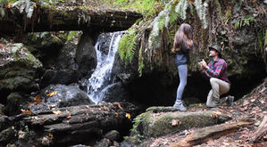 Explore the Redwoods in 3 Days