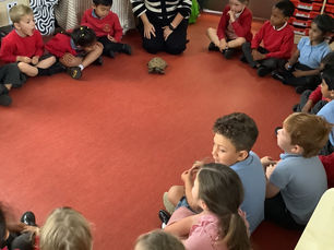 Sammy the tortoise visits Early Years!