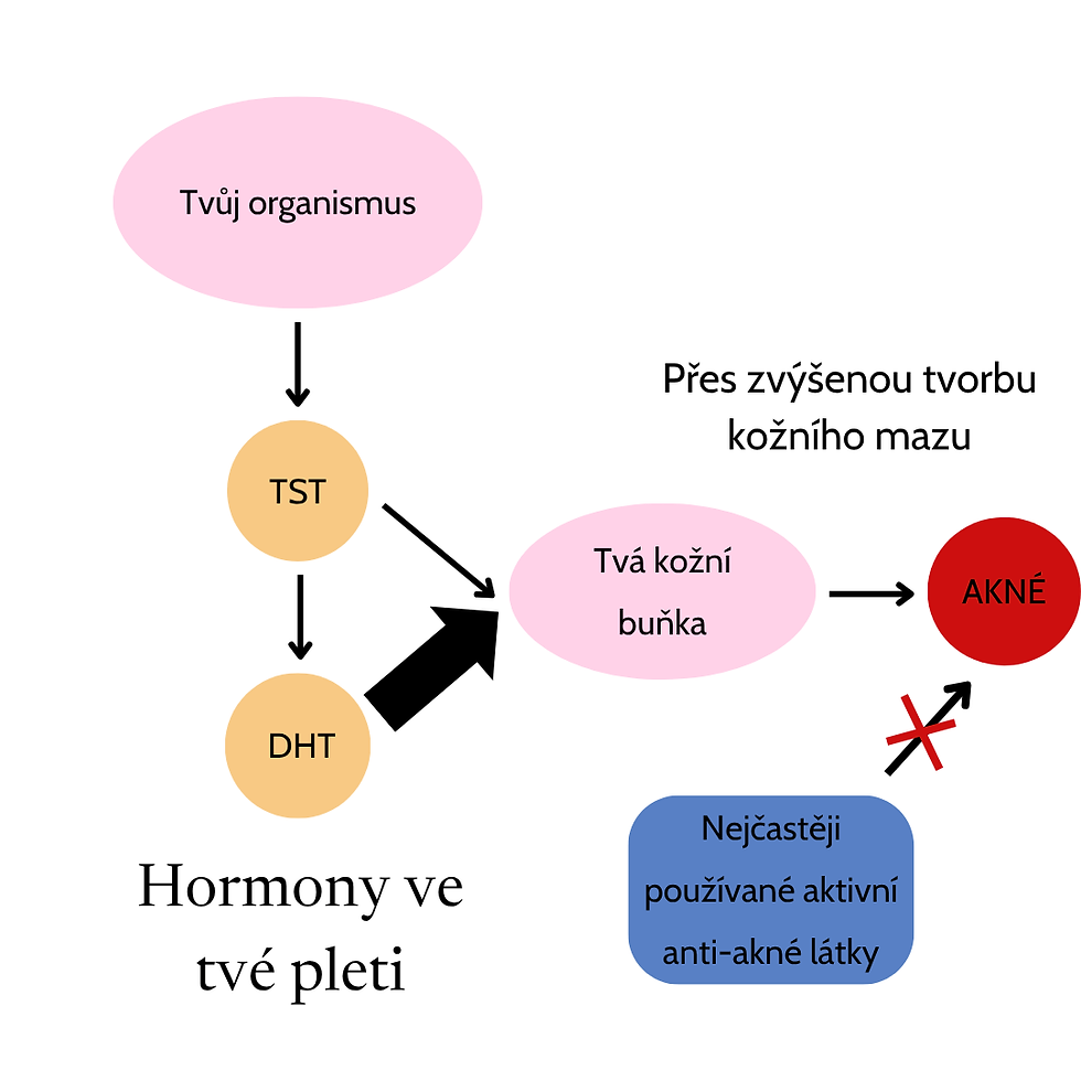 Proč klasické kožní látky nefungují na hormonální akné