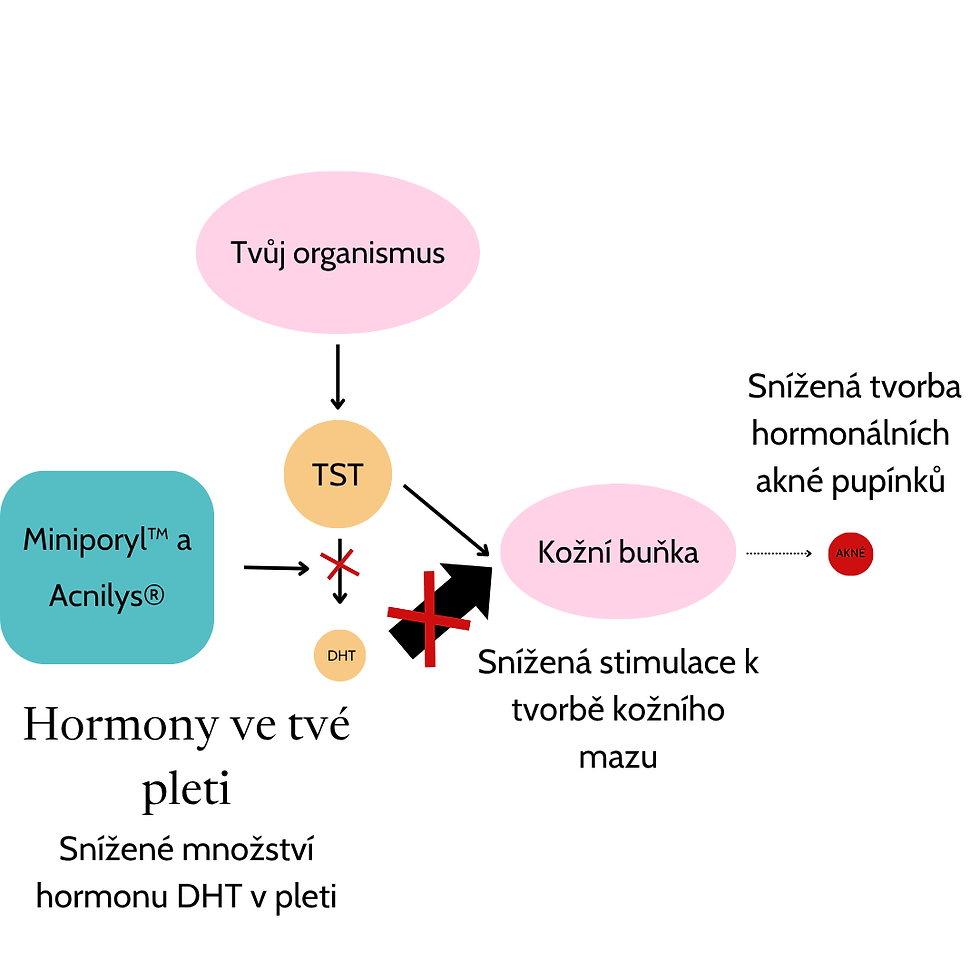 Miniporyl™ a Acnilys® pomáhají redukovat hormonální akné
