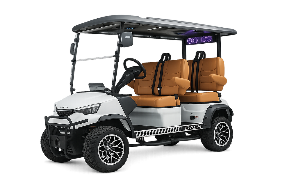 Rental near me Golf cart rental