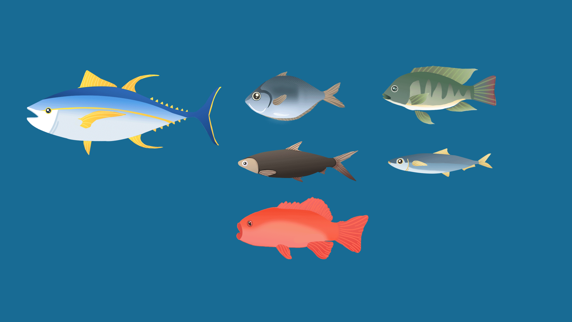 Animating-fish-Recovered.gif