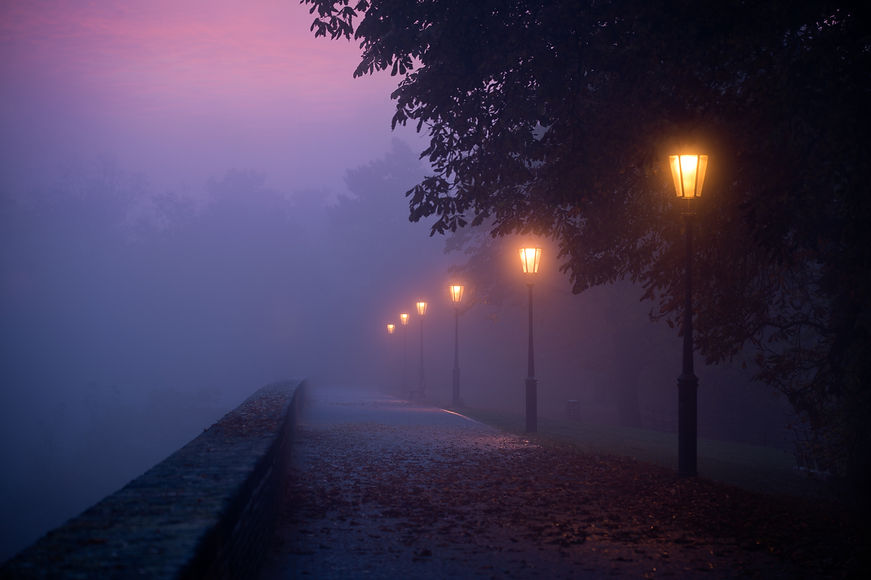Empty footpath in morning mist with colored sky visible.jpg