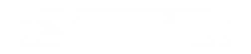 リボン白.png
