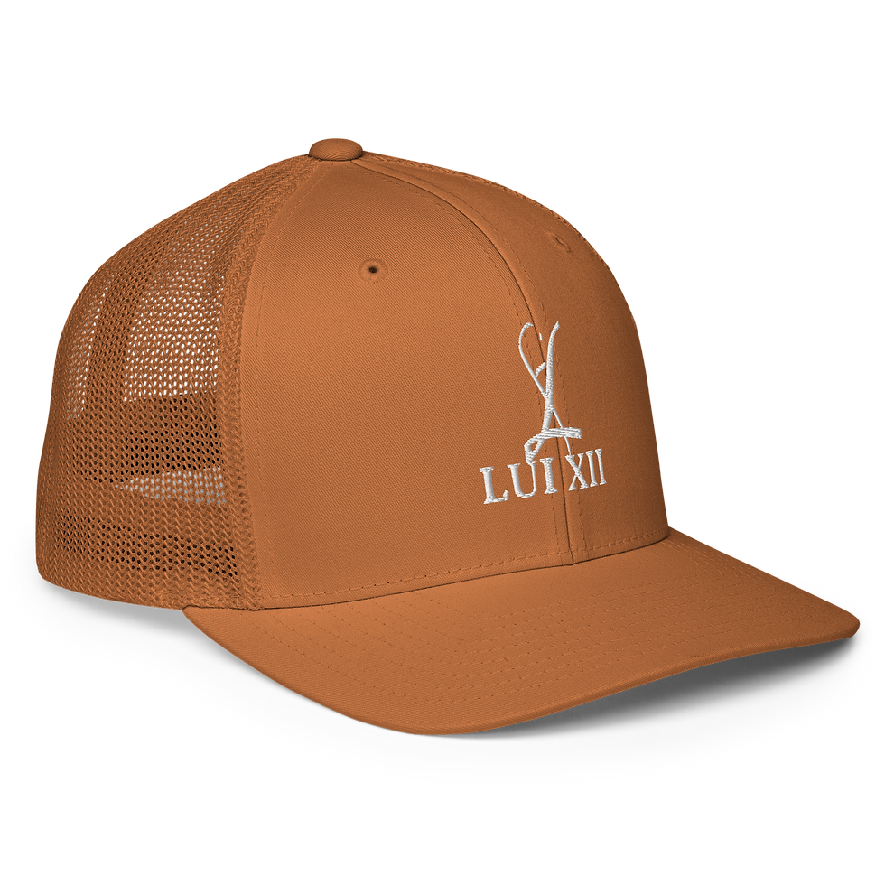 Thumbnail: LFL Closed-back trucker cap copy 3D