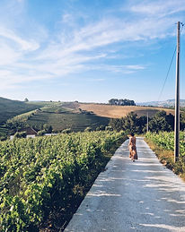 Vinresa till Portugal