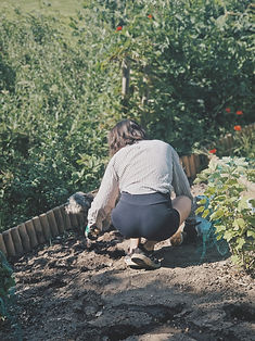 Mat och vin hänger ihop, så att odla i Skåne är ett stort intresse