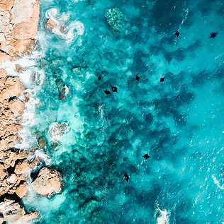 48D003FF-8551-4CB3-B3BF-E59CFF079B54_edi