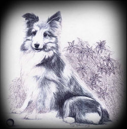Trixy's Portrait