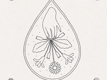 "Flower Fighter" By Charlotte&Magic