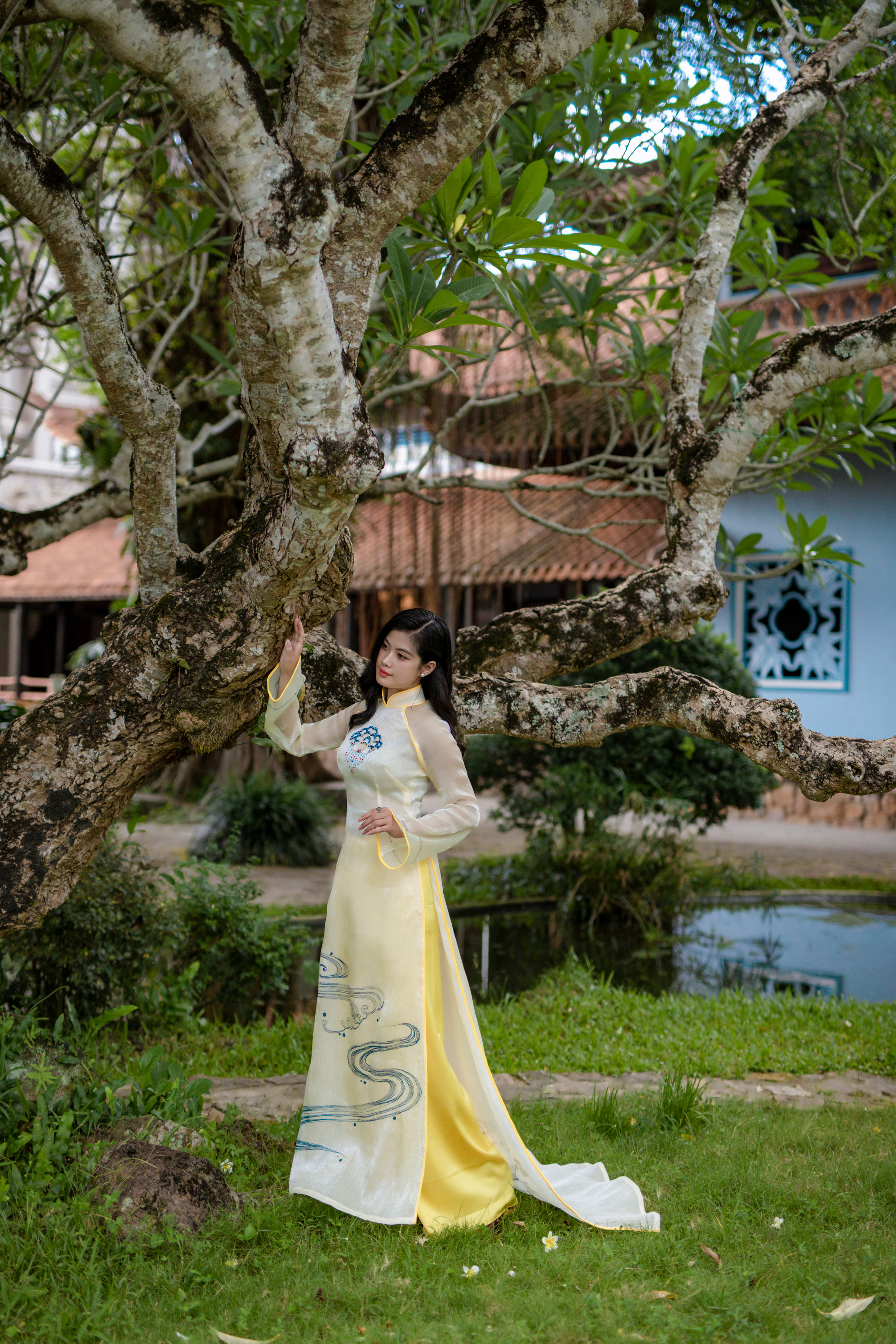 WD010039 Bach Lien Co