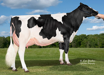 Lars-Acres SSI 22933-ET.jpg