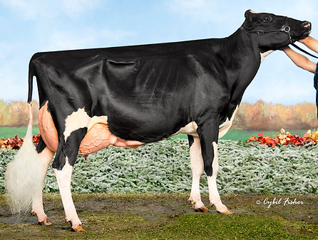 HF44314 Lars-Acres Gwatwd Landi-ET.jpg