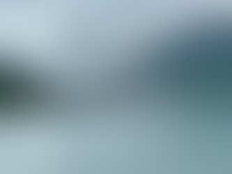 curate and celebrate