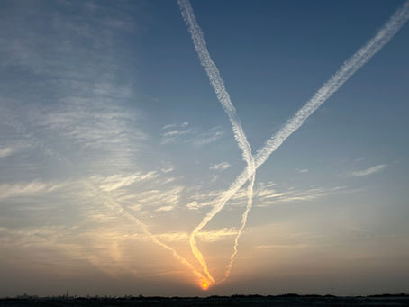 curate and celebrate