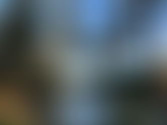 curate and celebrate